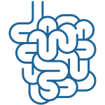 Ректороманоскопия + аноскопия 